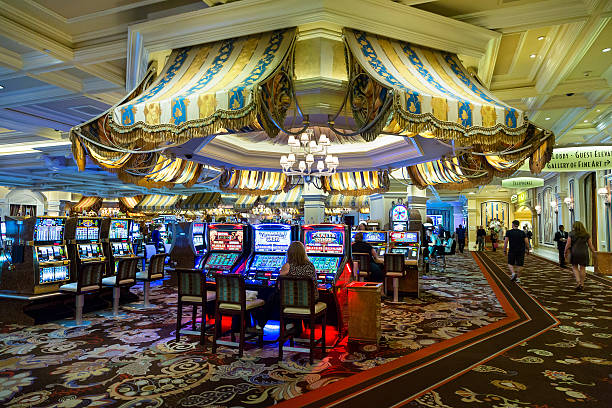 Golden Toad bonus feature activation showing free spins and multiplier symbols